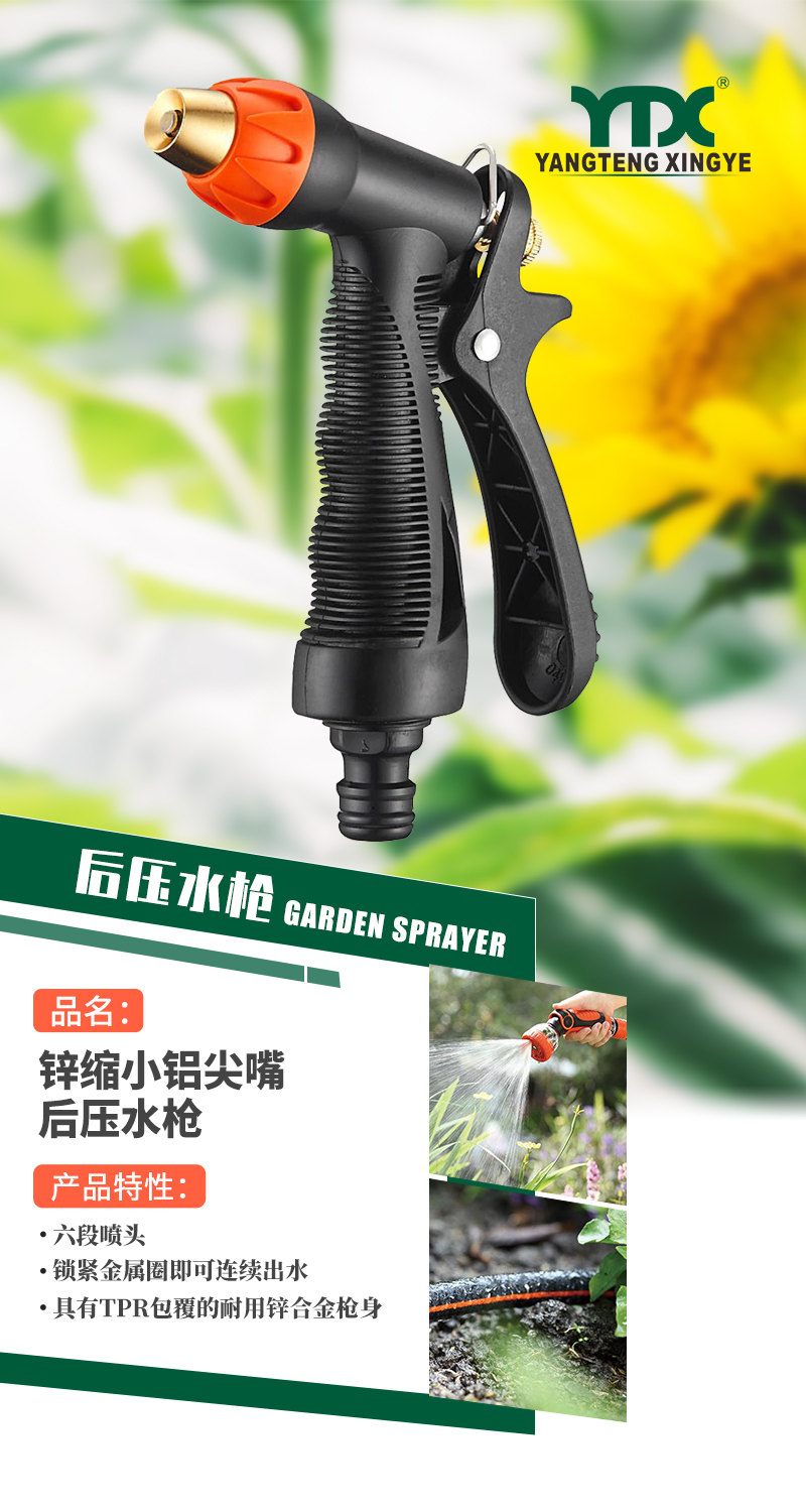 中文_01