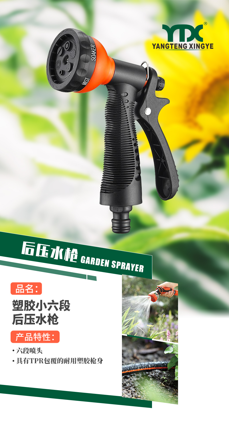 中文_01