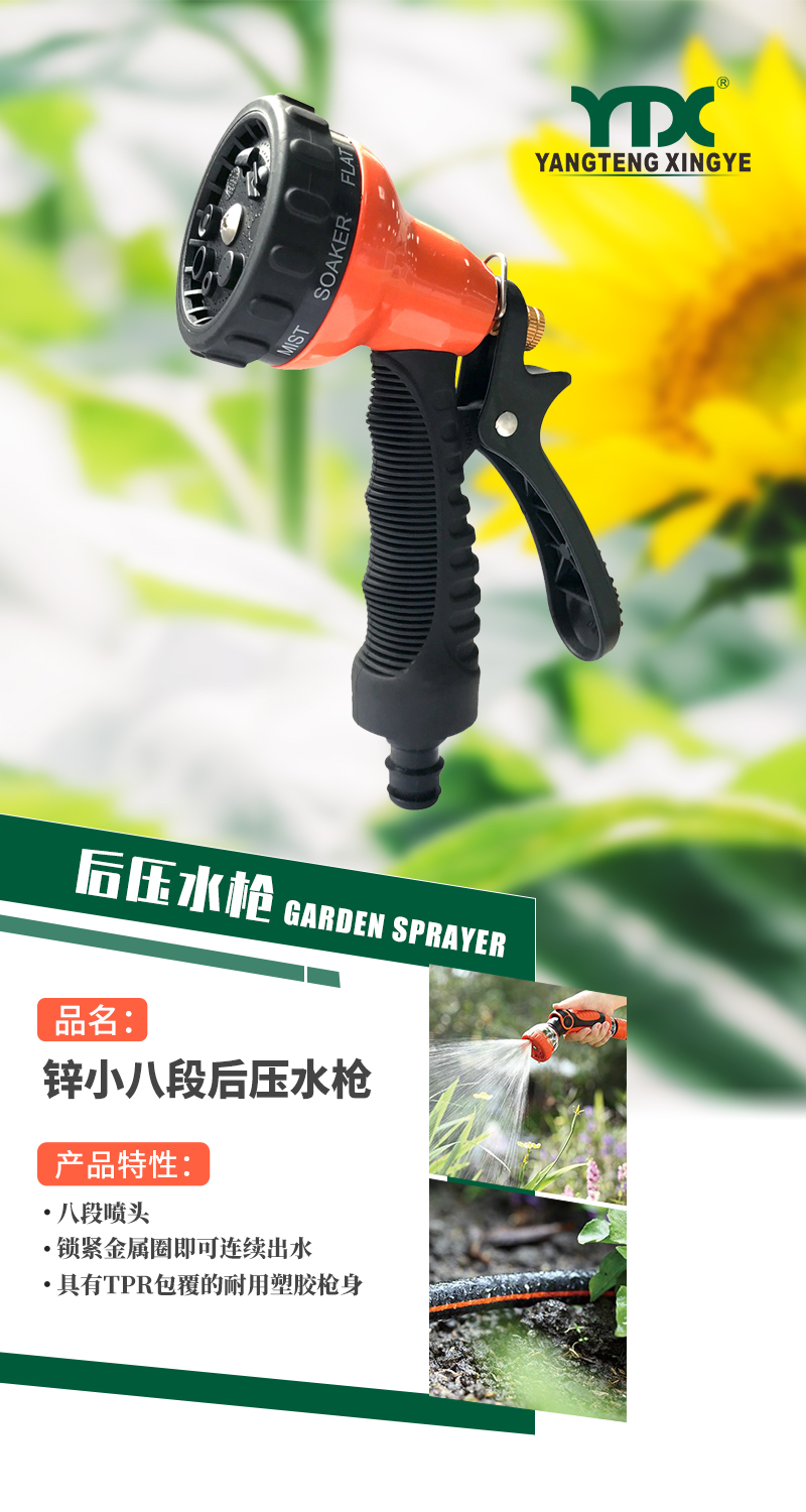 中文_01