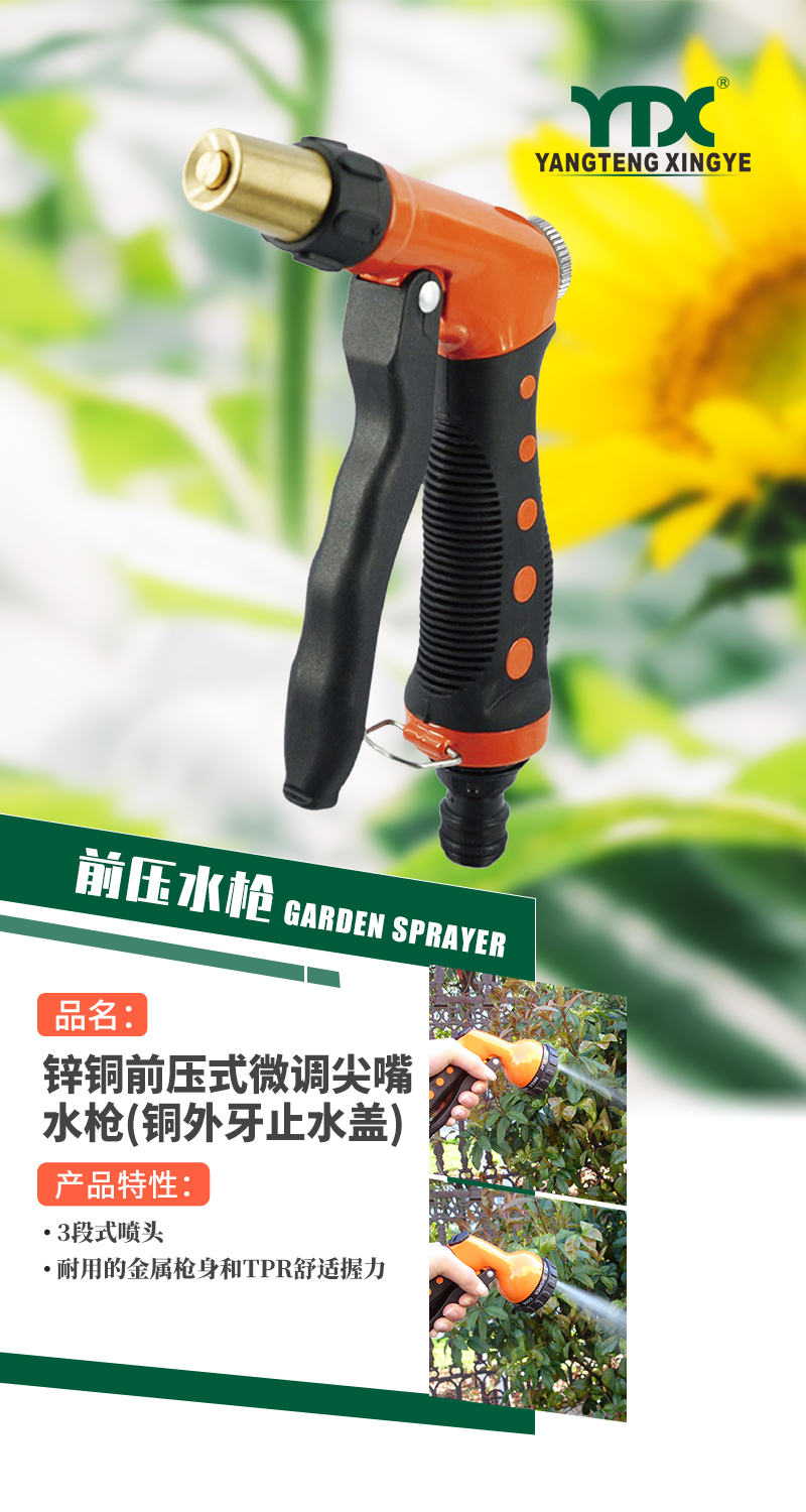 中文_01