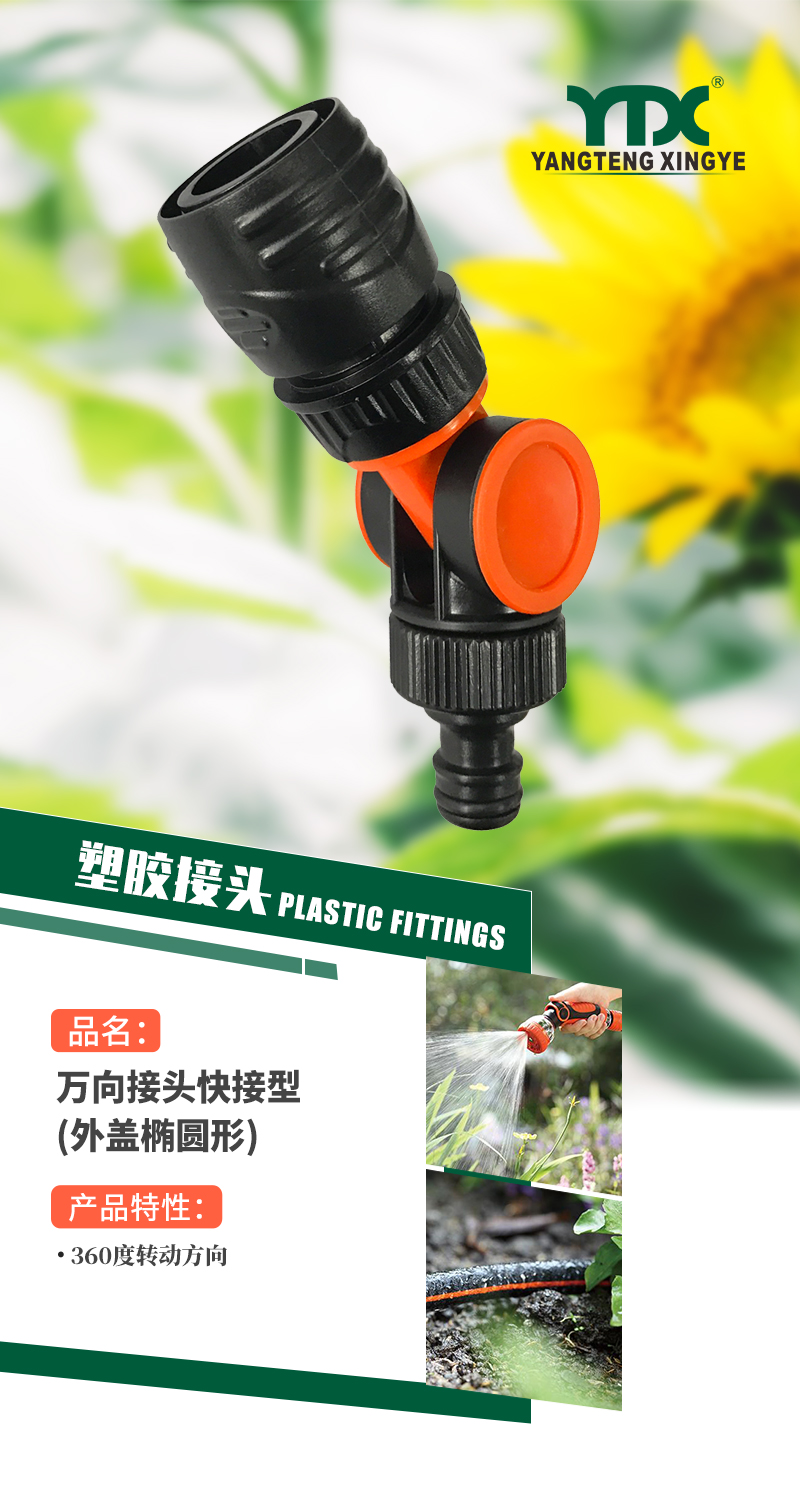 中文_01