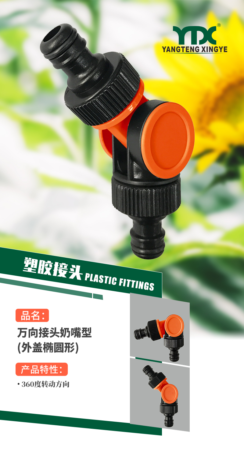 中文_01