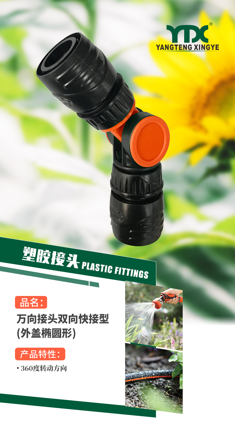 中文_01