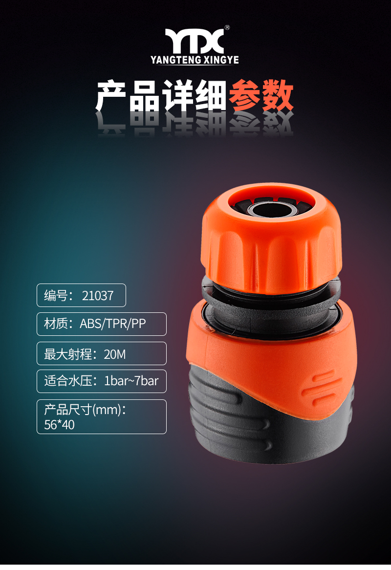 中文_05
