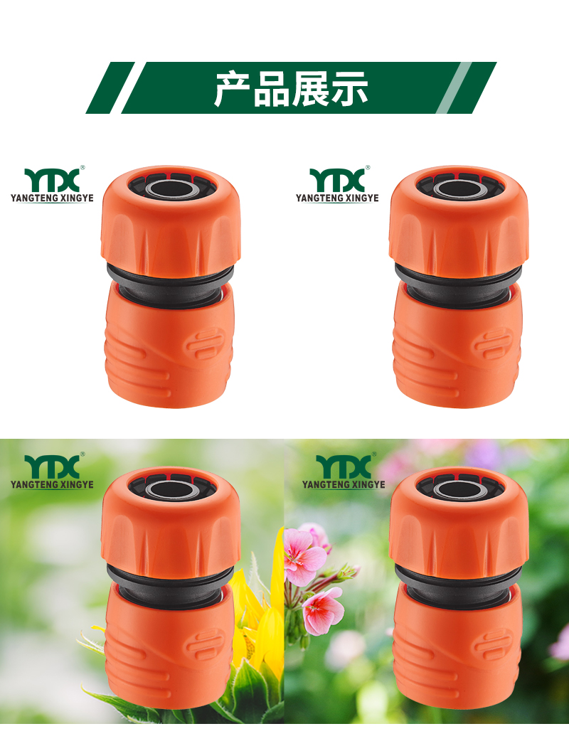 中文_06