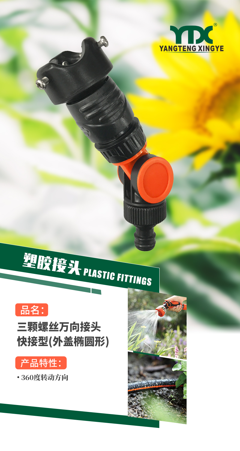 中文_01