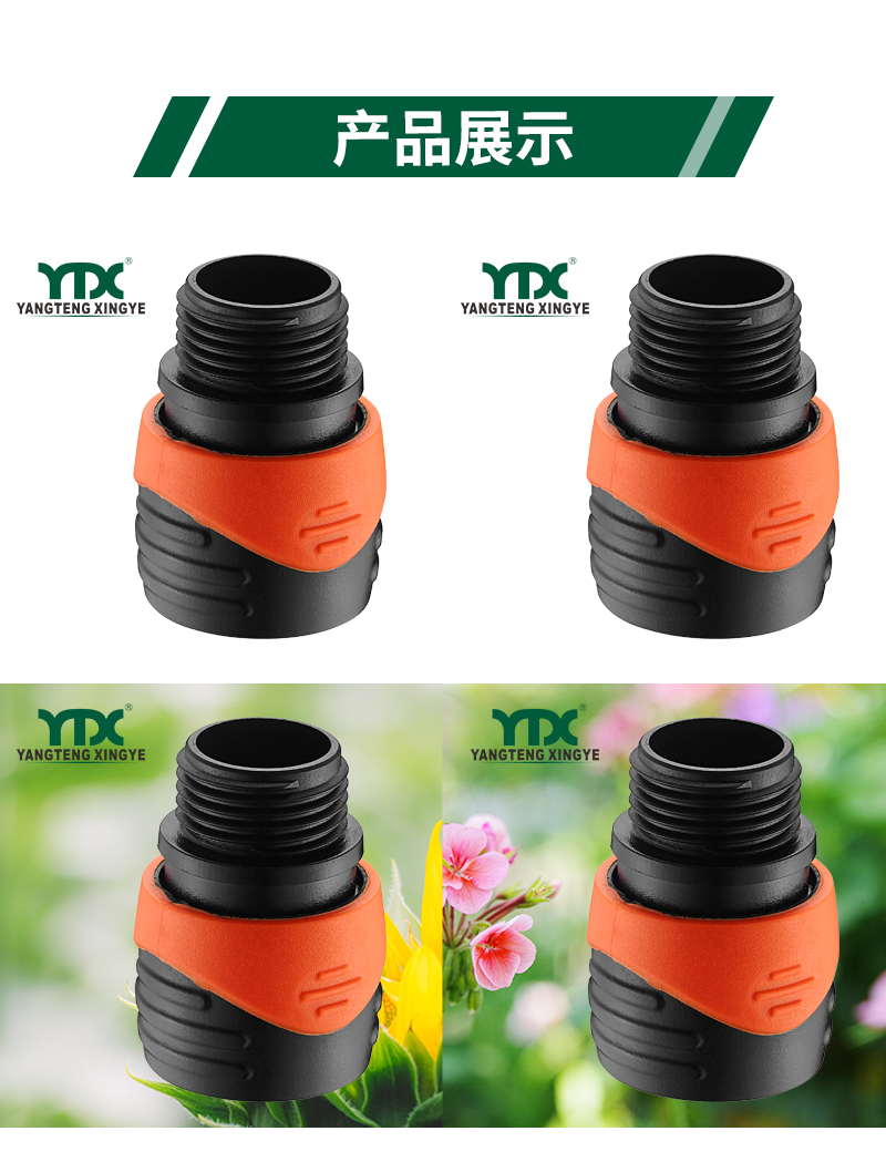 中文_06