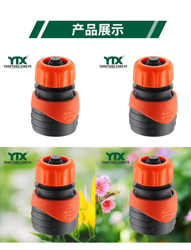 中文_06