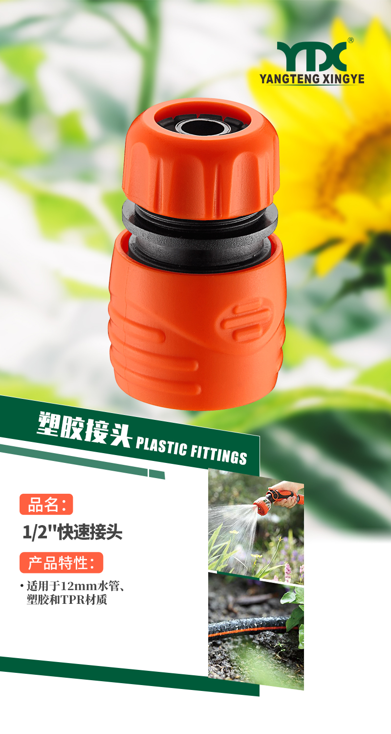 中文_01