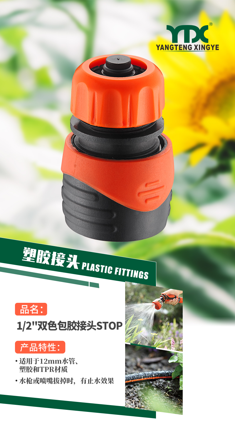 中文_01