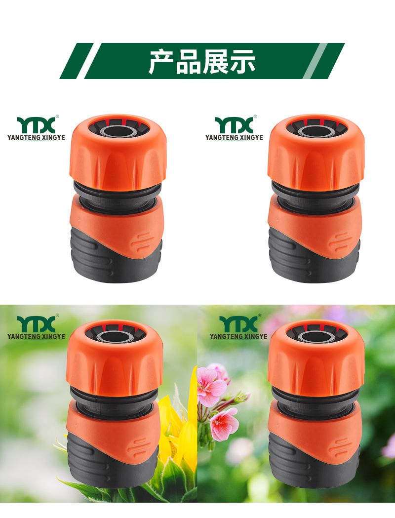 中文_06
