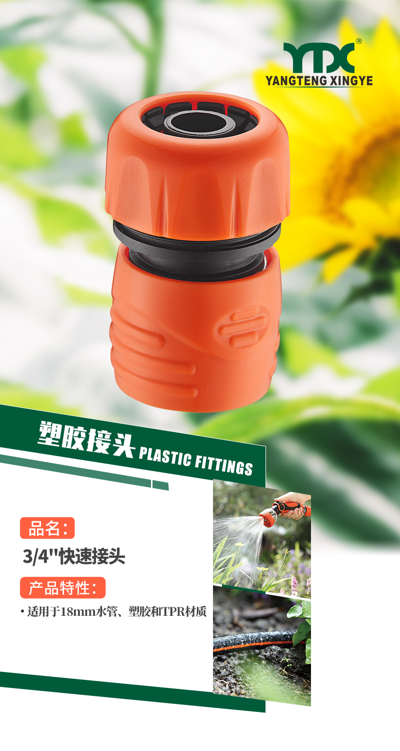 中文_01