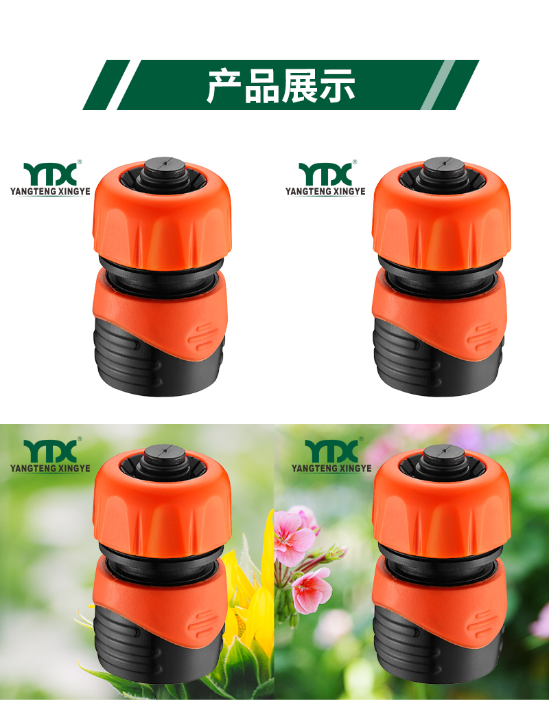 中文_06