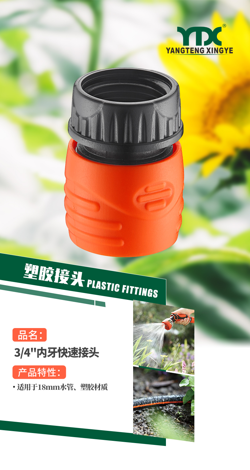 中文_01