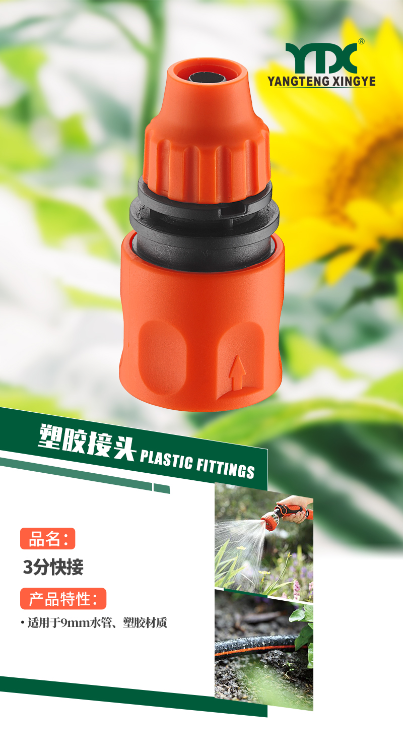 中文_01
