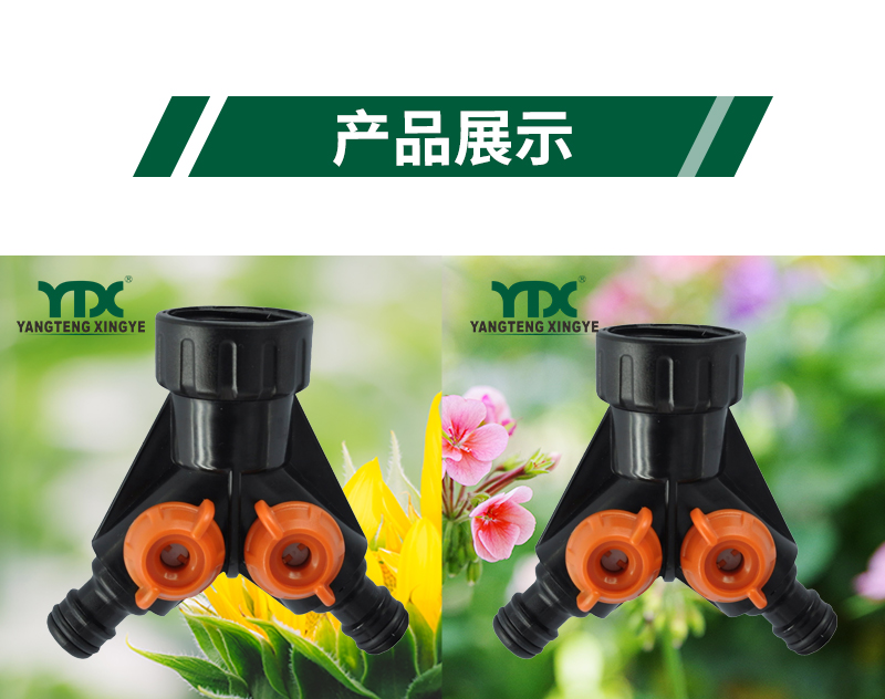中文_06