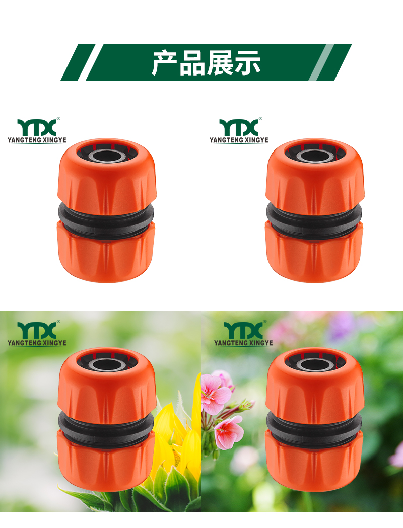 中文_06
