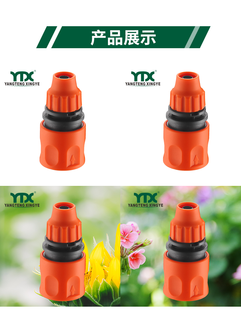 中文_06