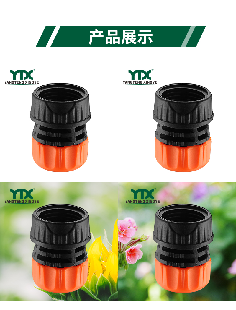 中文_06