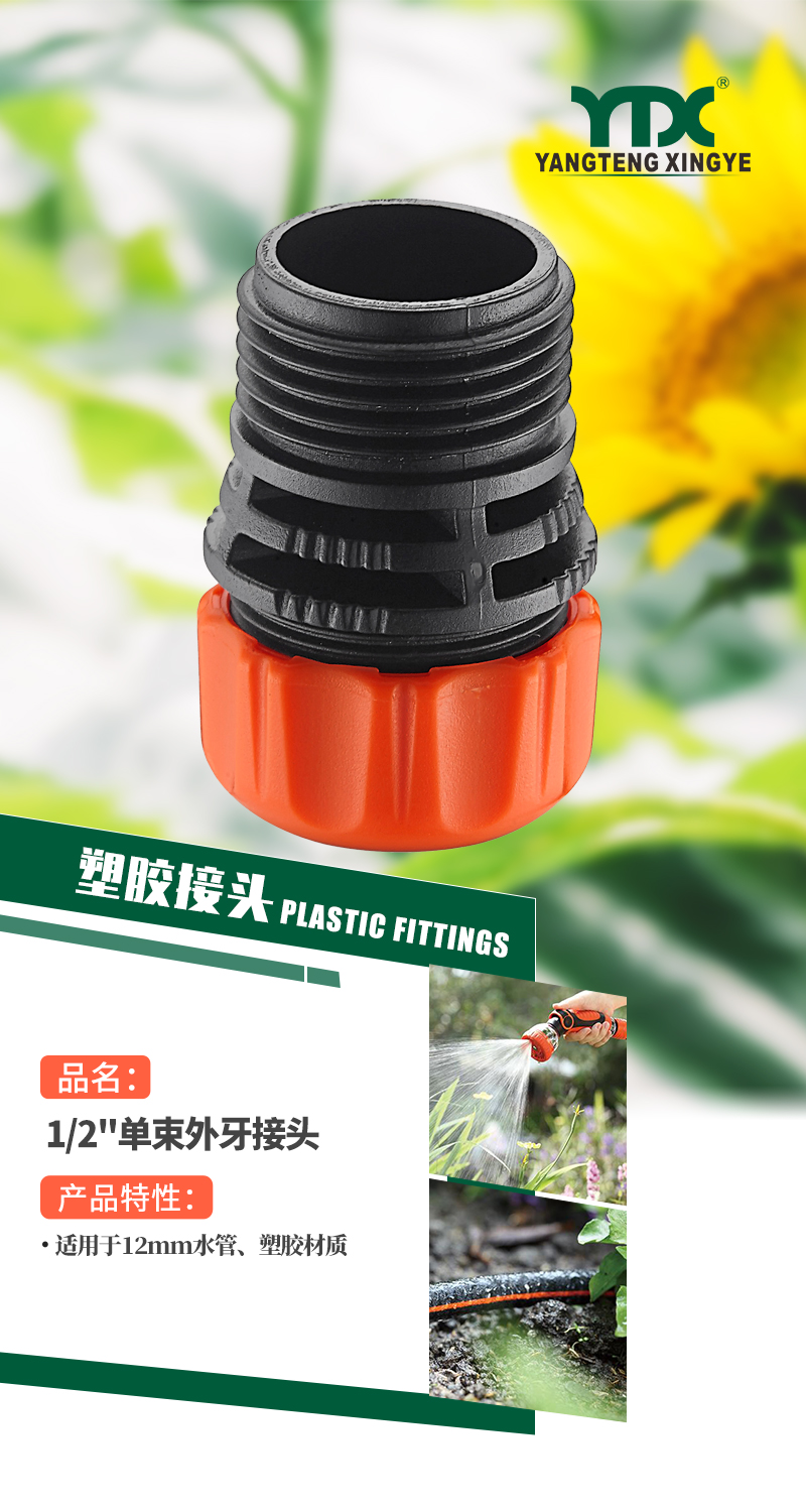 中文_01