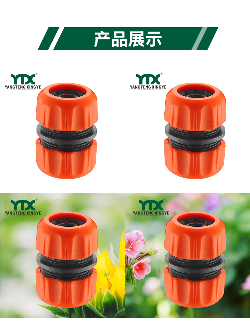 中文_06