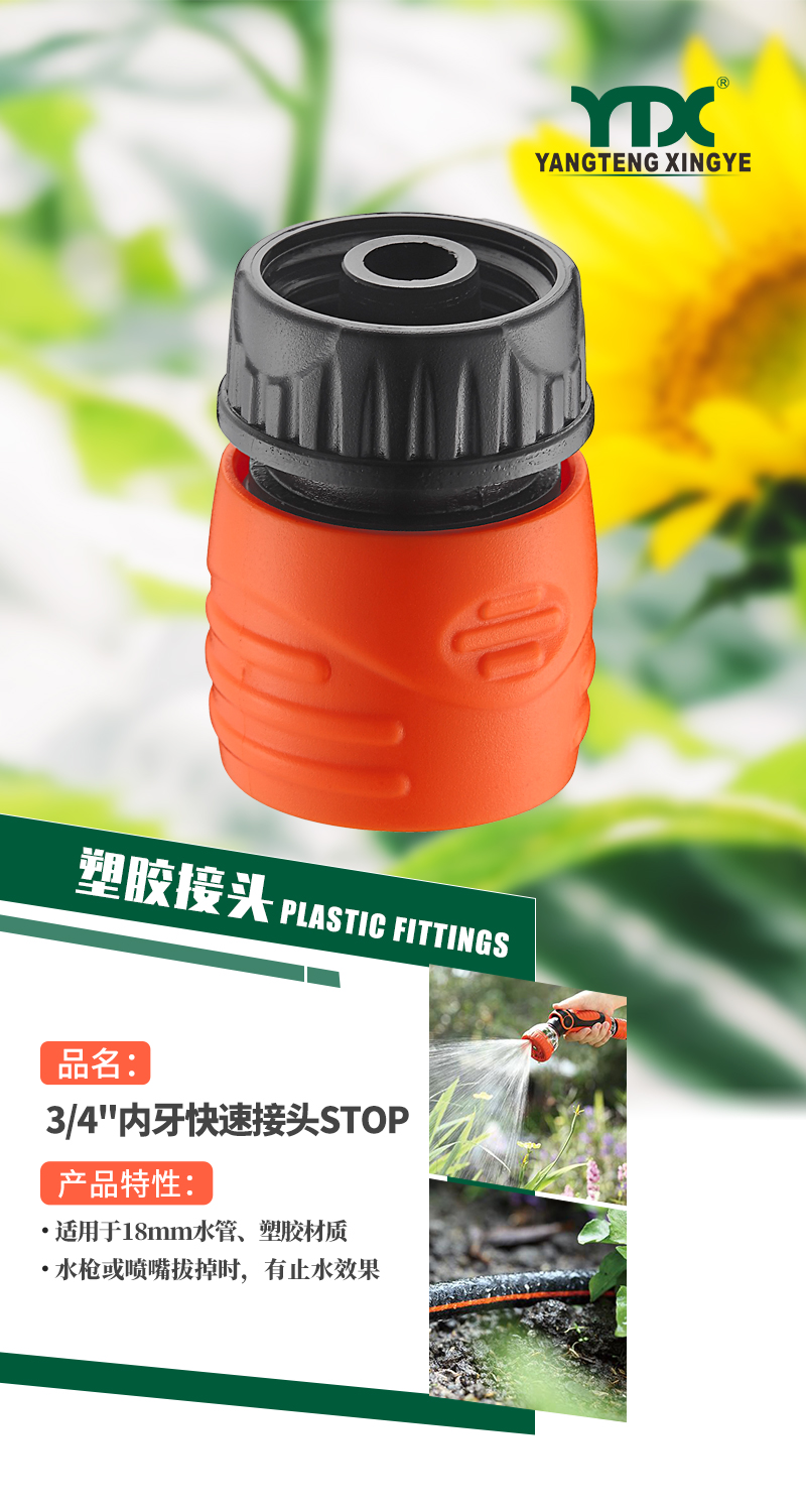 中文_01