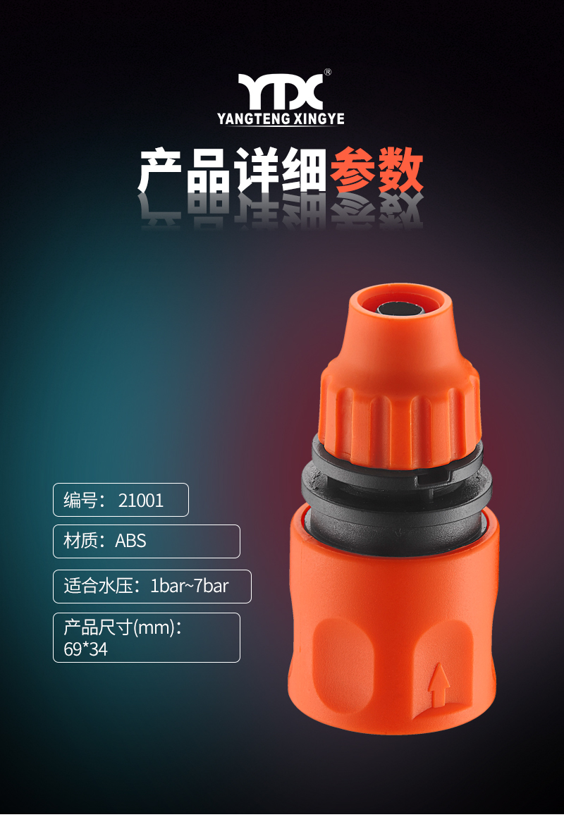中文_05