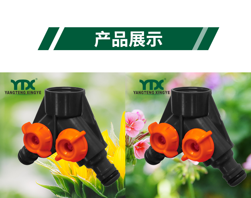 中文_06