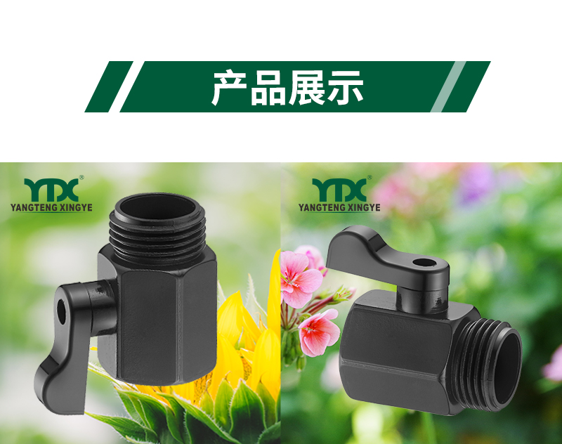中文_06
