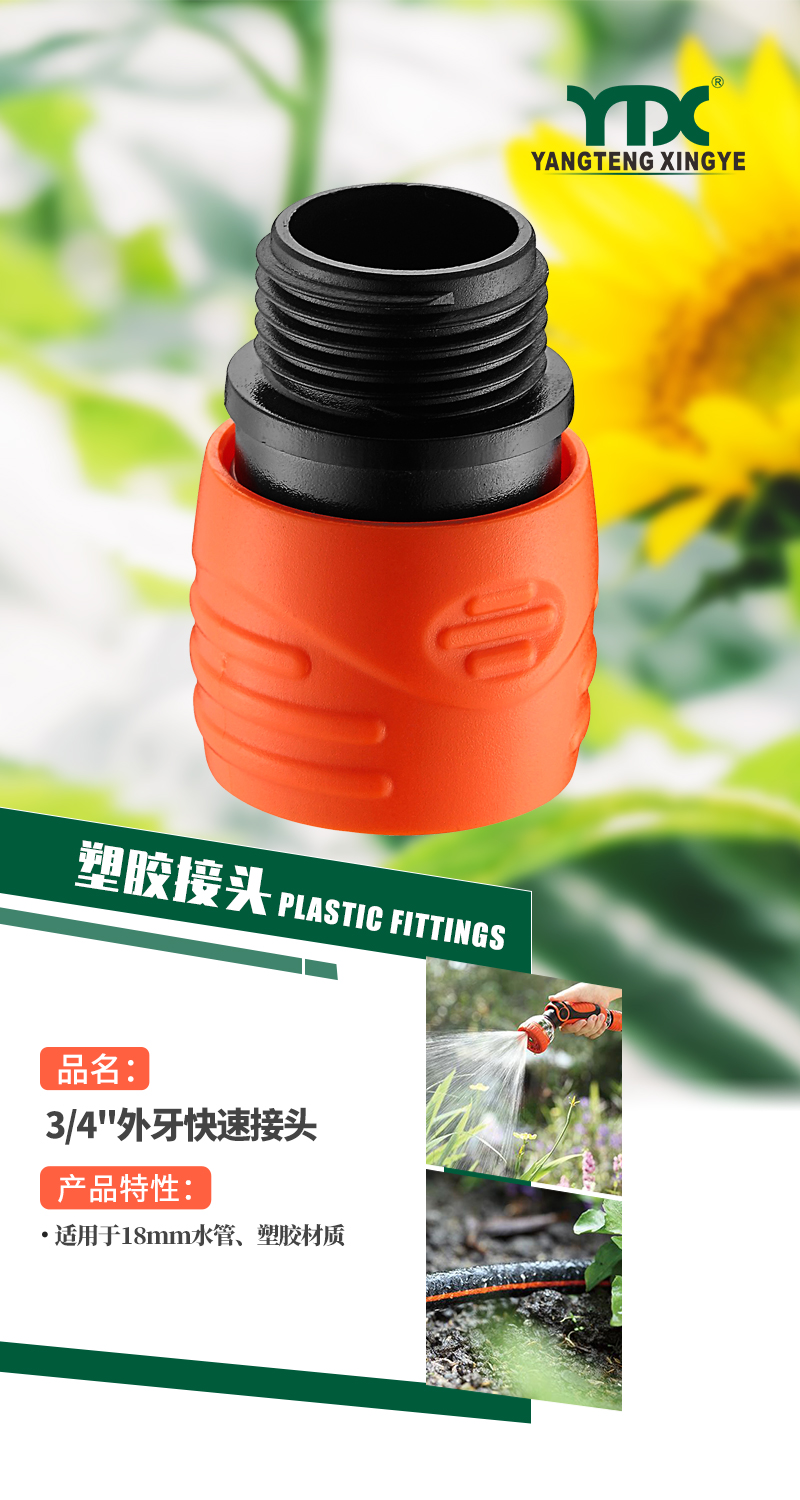 中文_01