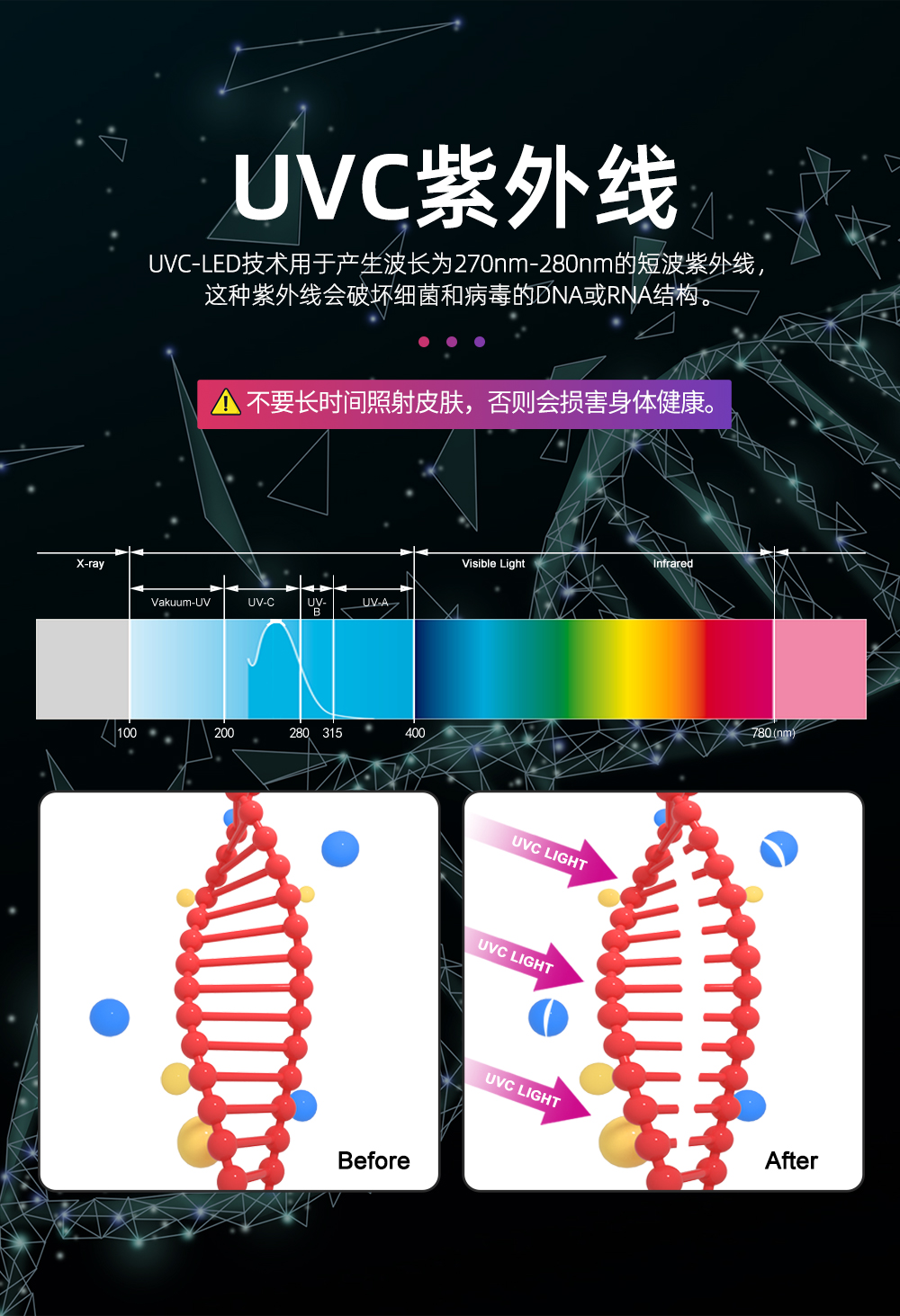 中文版新版_16