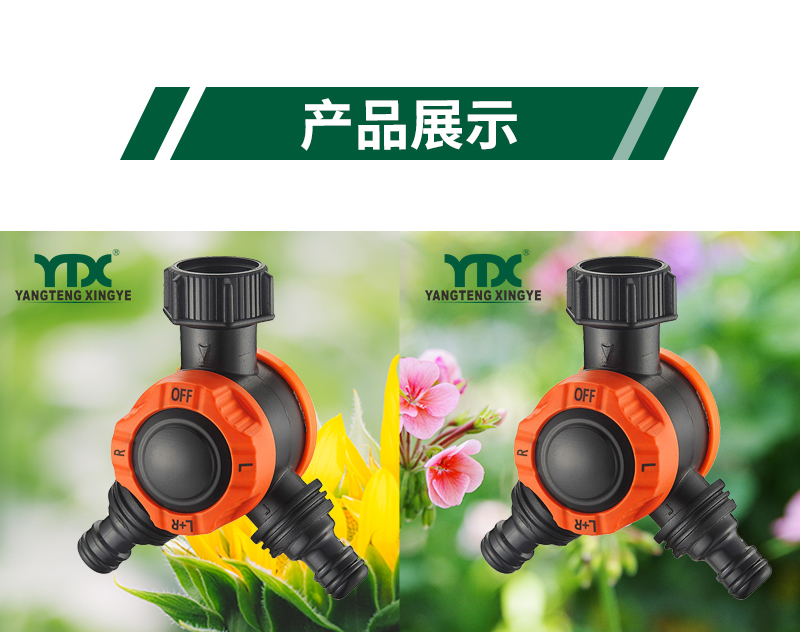 中文_06