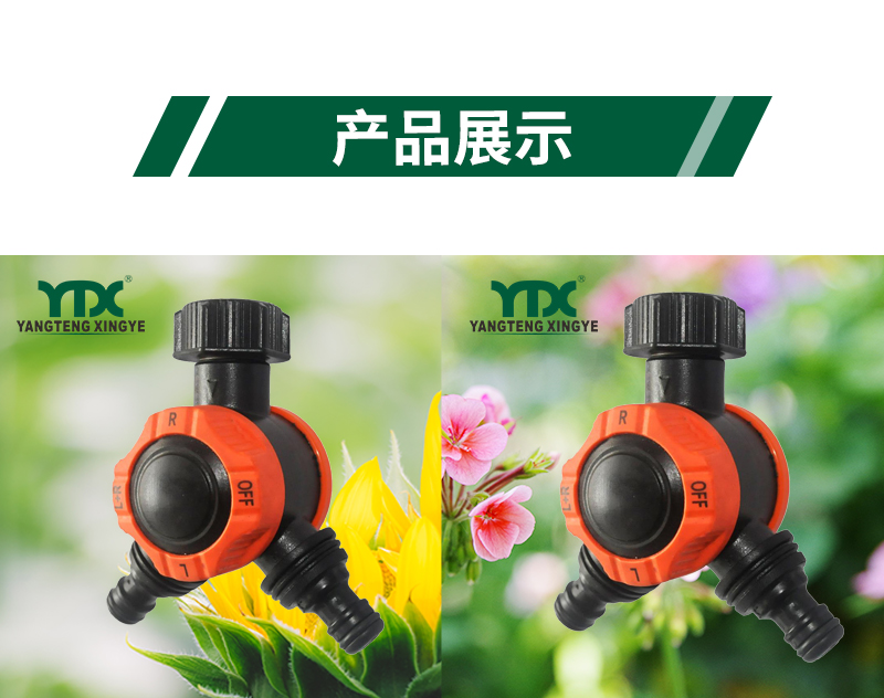 中文_06