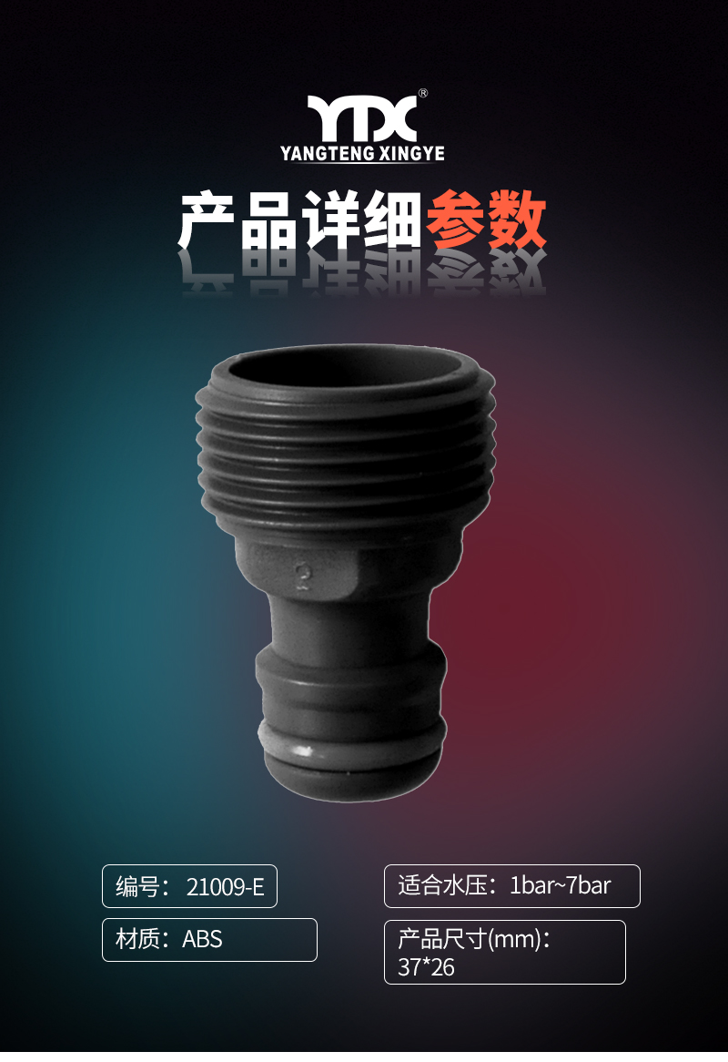 中文_05