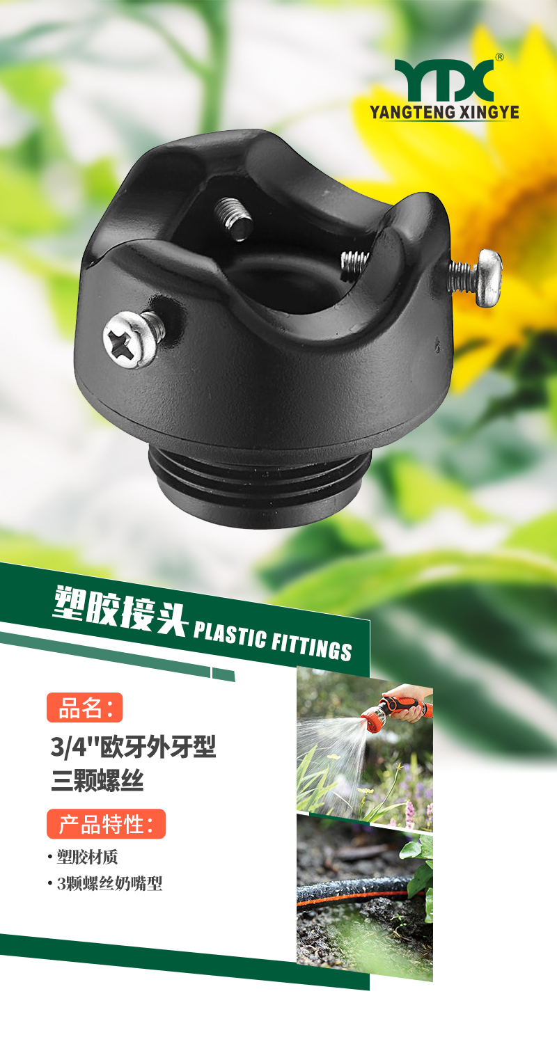 中文_01