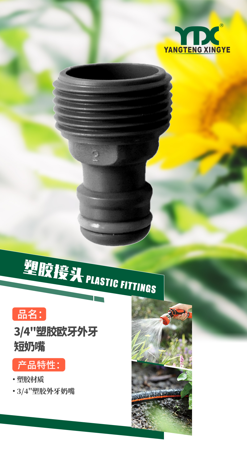 中文_01