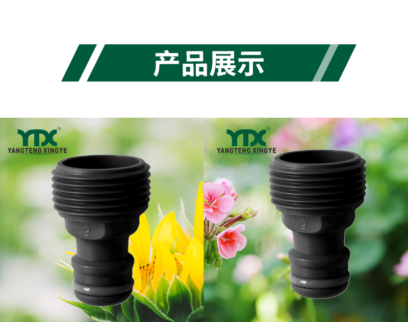 中文_06