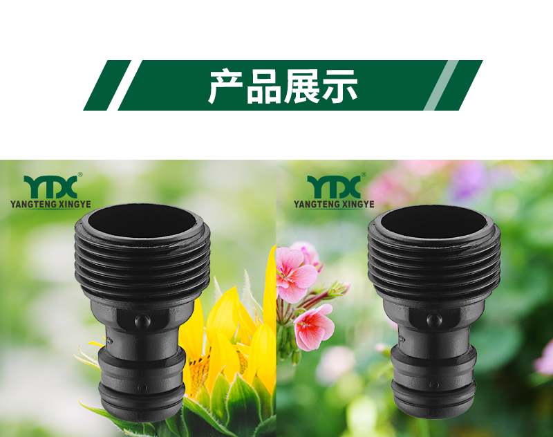 中文_06