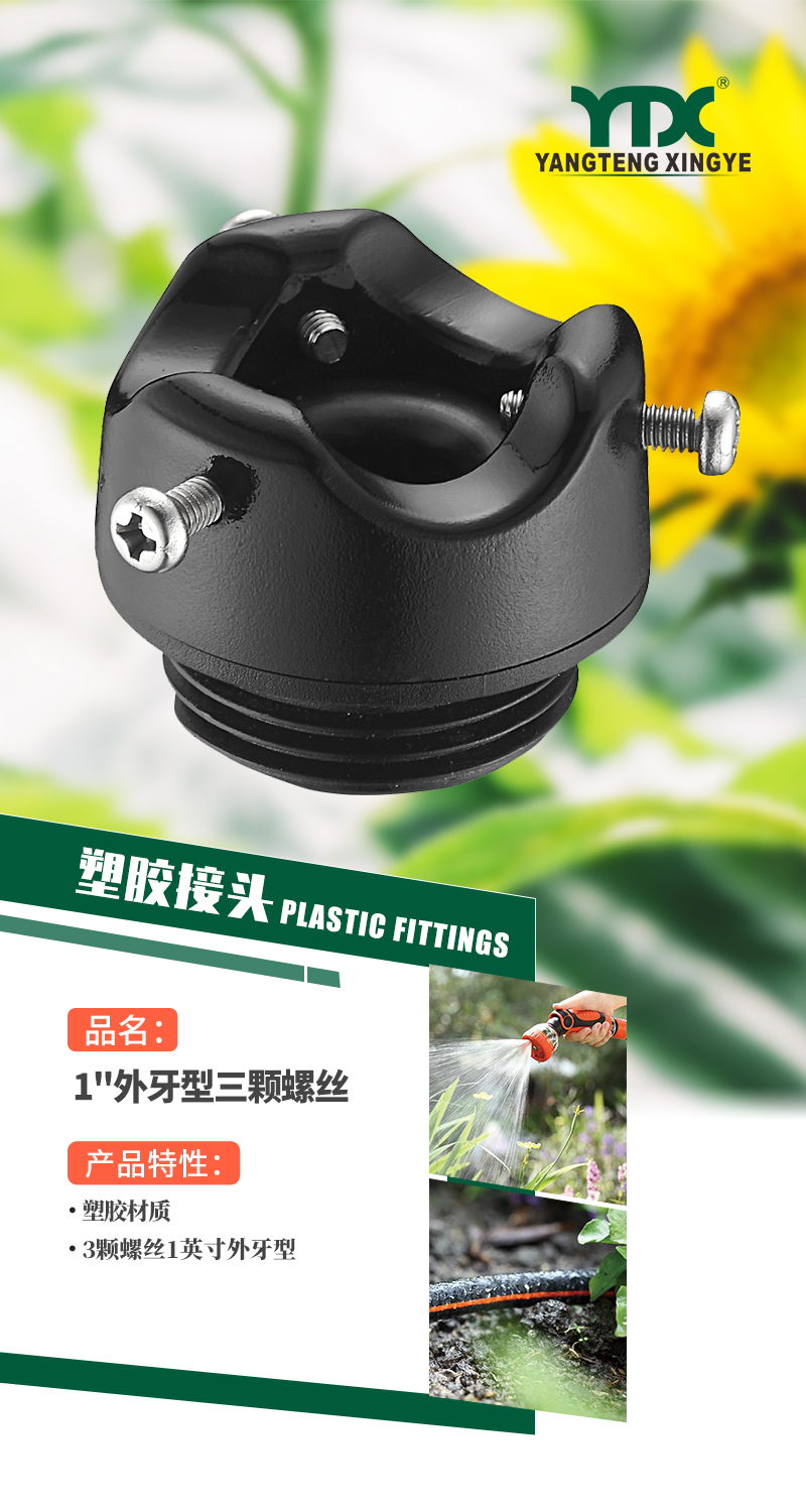 中文_01