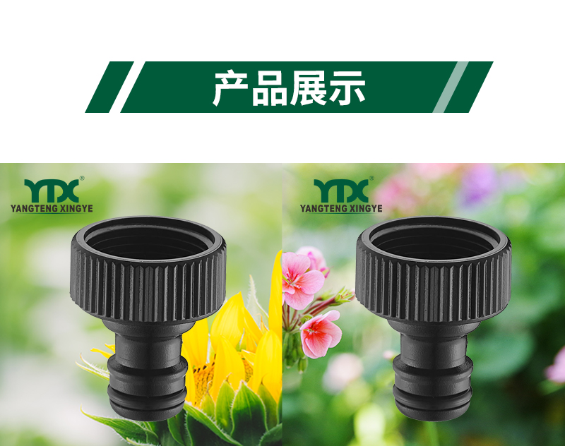 中文_06