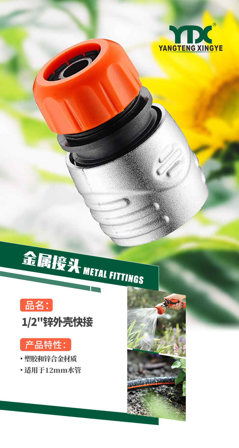 中文_01