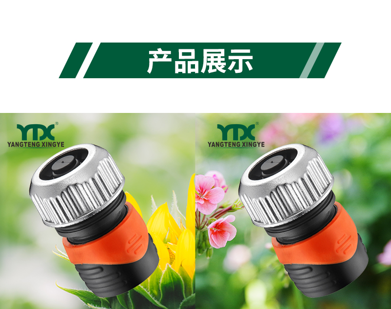 中文_06