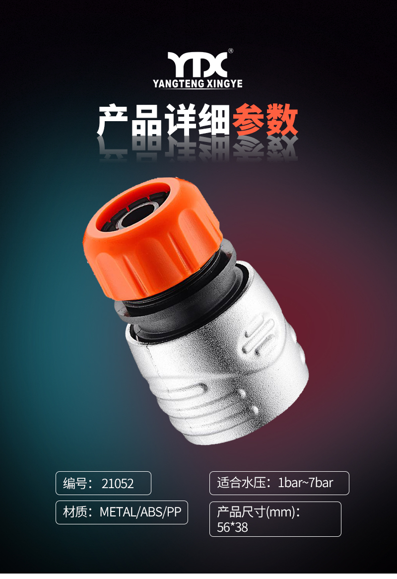 中文_05