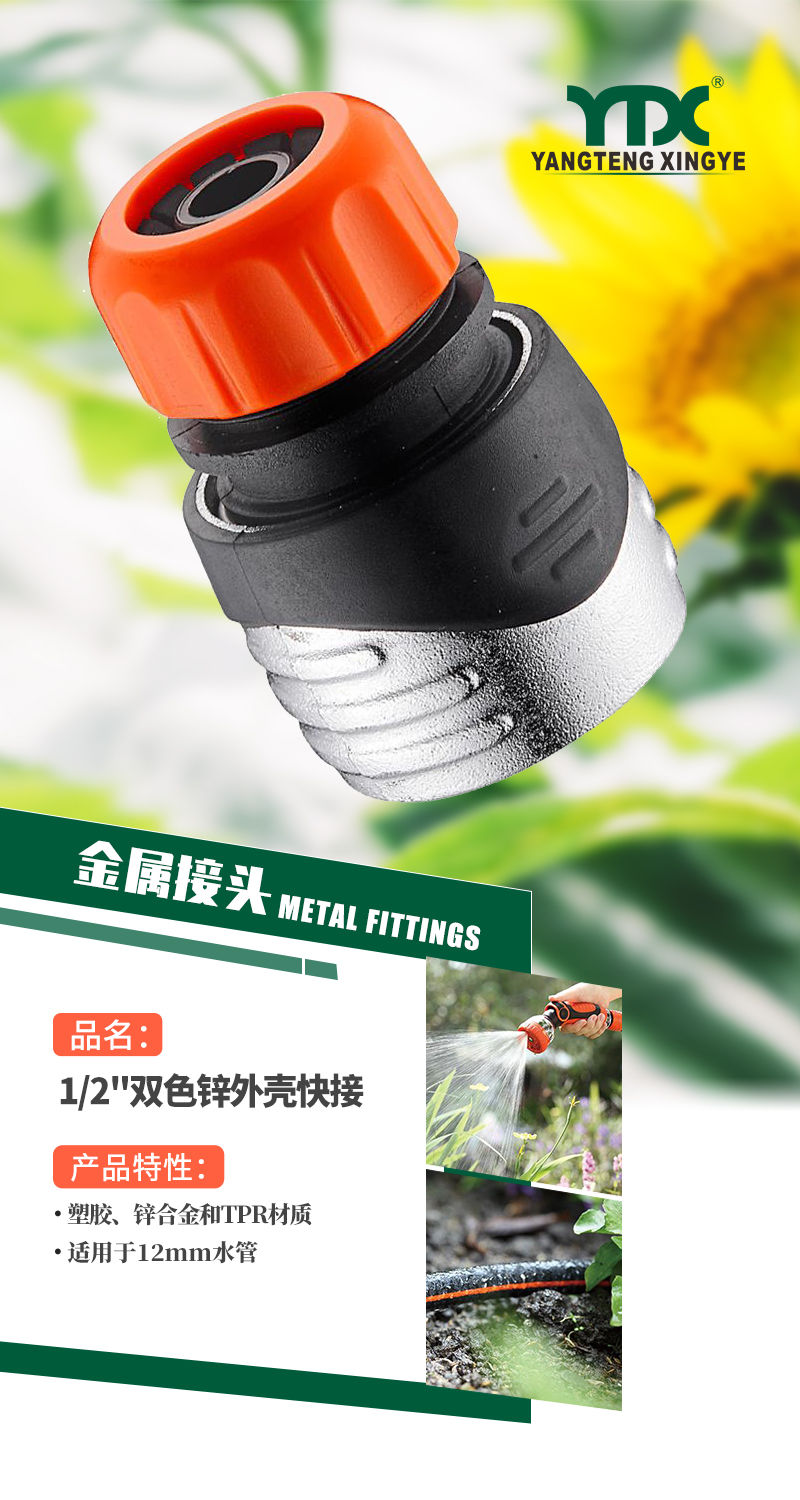 中文_01