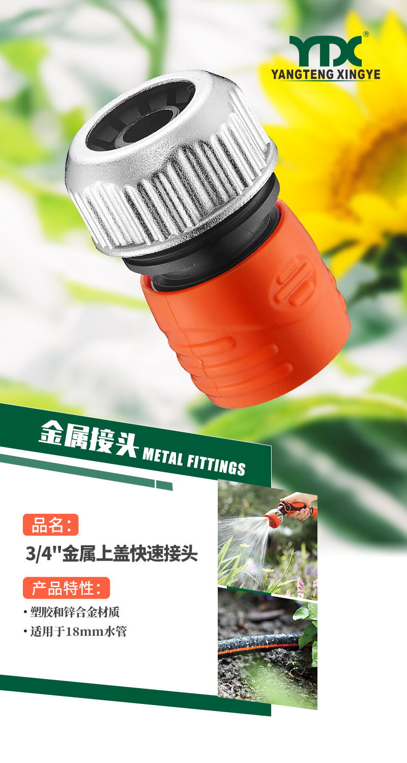 中文_01