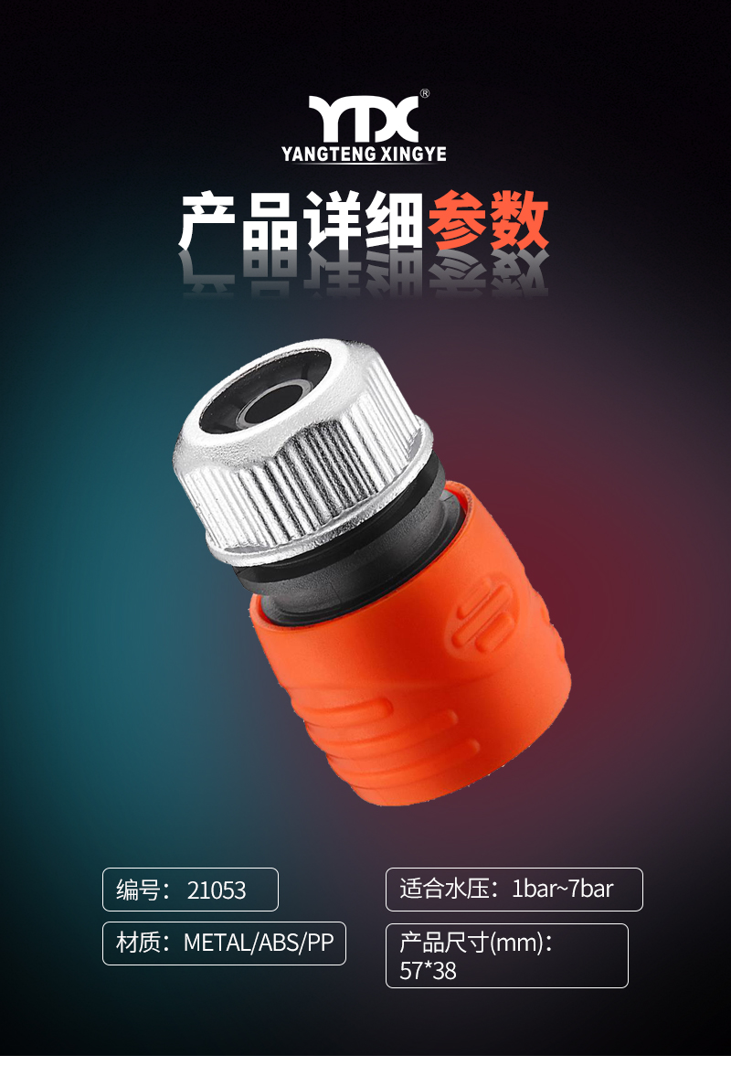 中文_05