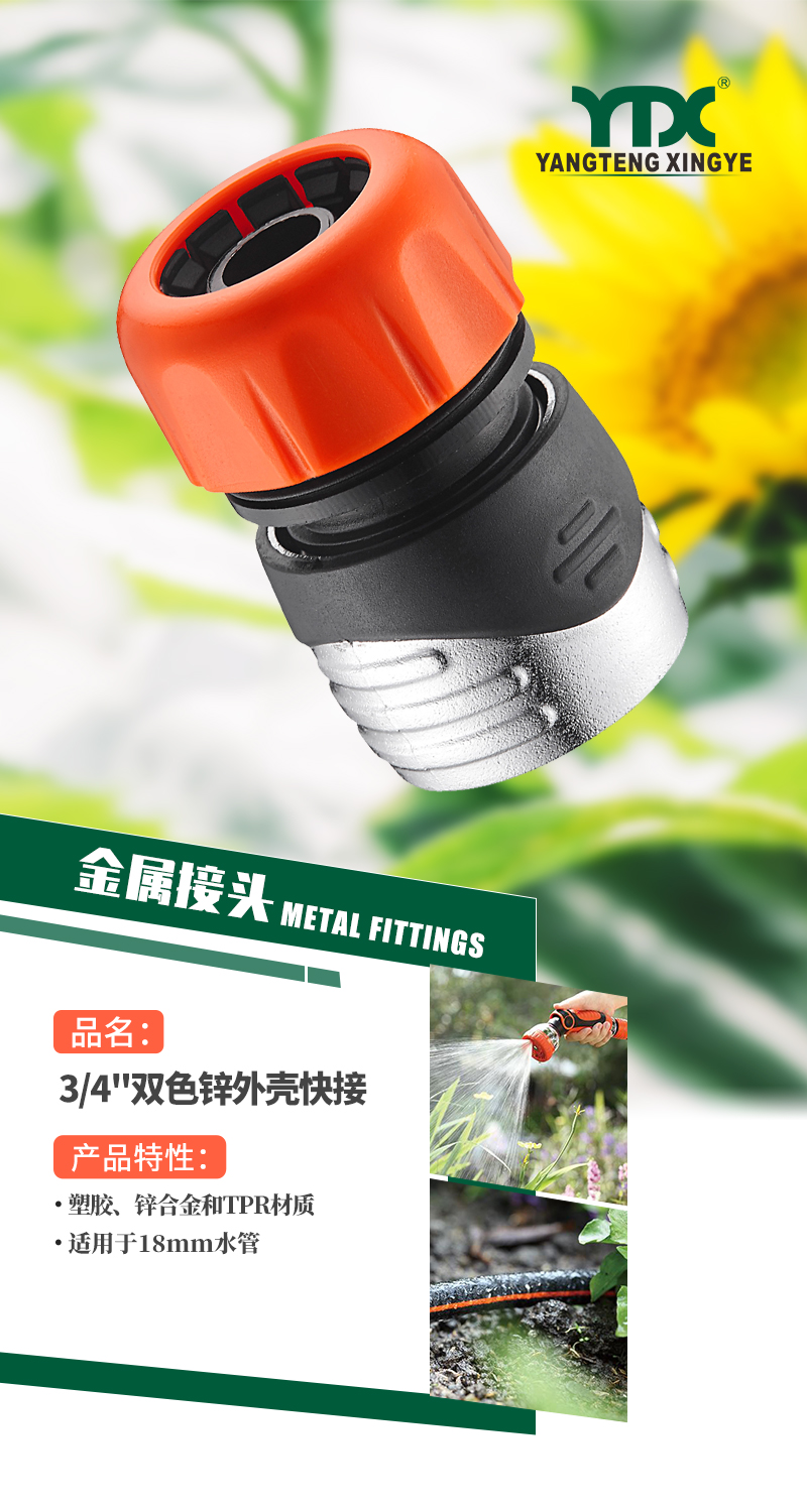 中文_01