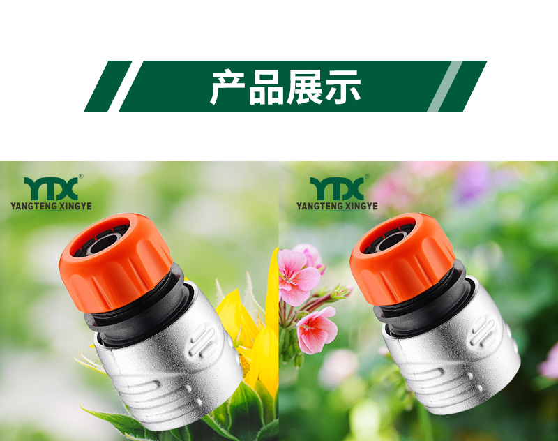 中文_06