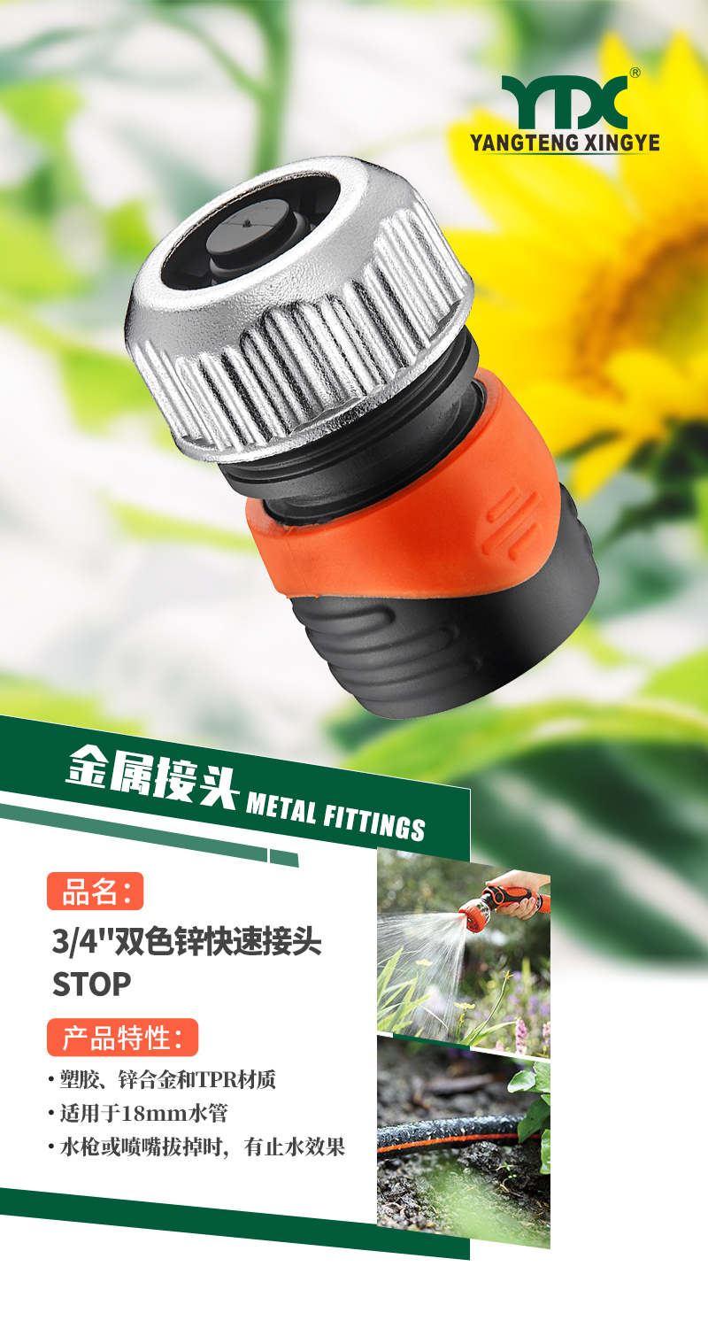 中文_01