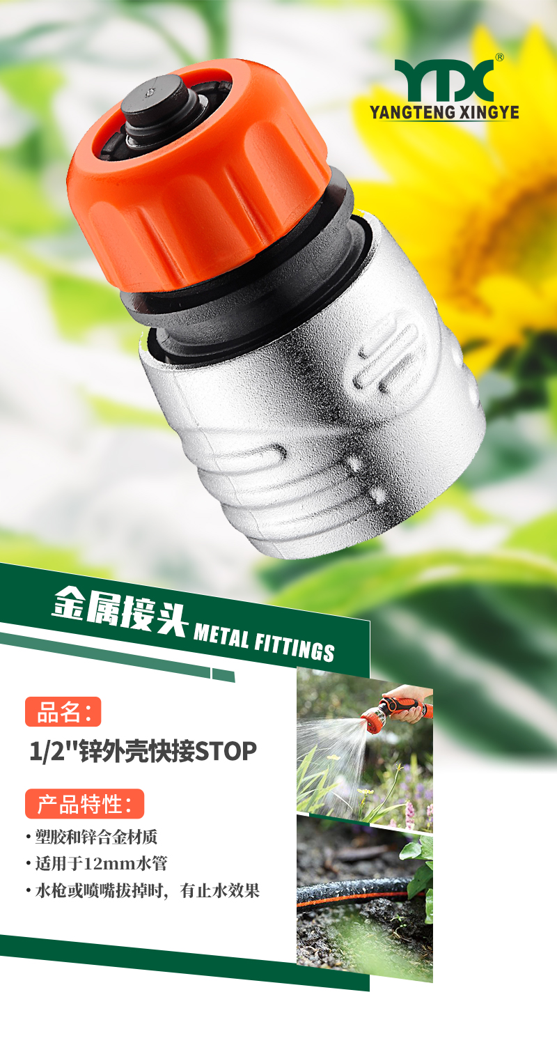 中文_01